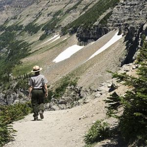 Codan secures US Forest Service order